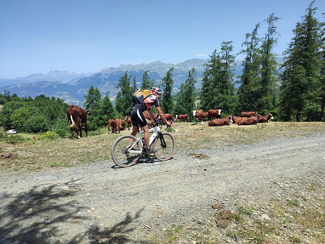 Le Mont Colombis par Avançon (Parcours gravel 44 rouge)