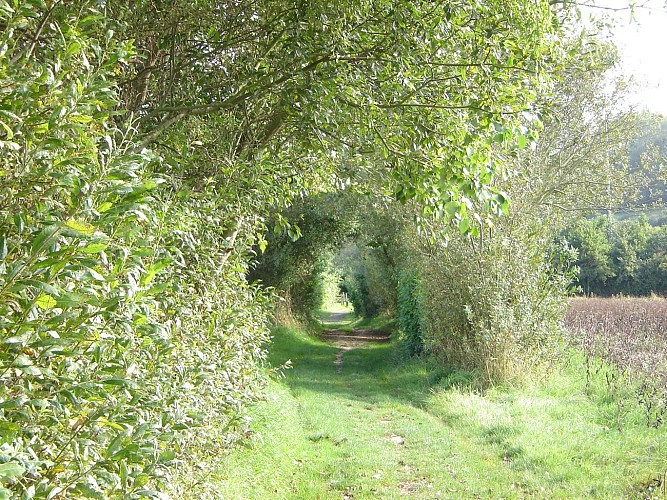 Sentier du Parcours Impérial