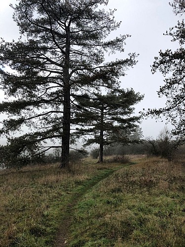 Réserve Devant Bouvignes 2