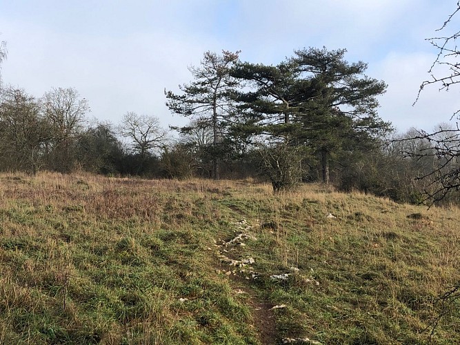 Réserve Devant Bouvignes 7
