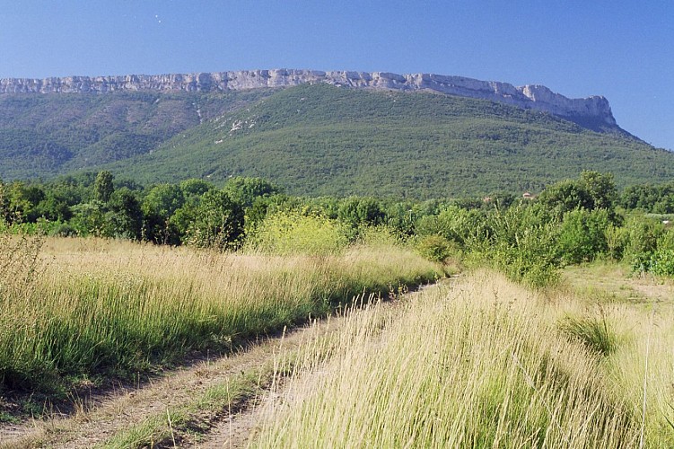 Pourcieux à travers les vignes à vélo