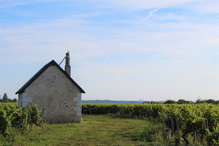 Vouvray - Sentier Royal