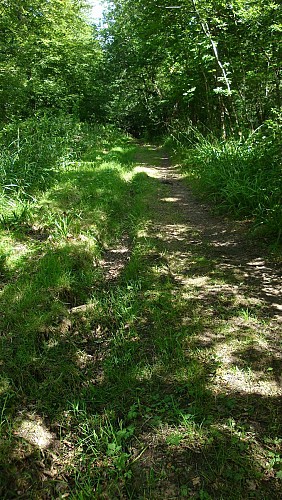 Sentier de la fontaine aux charmes