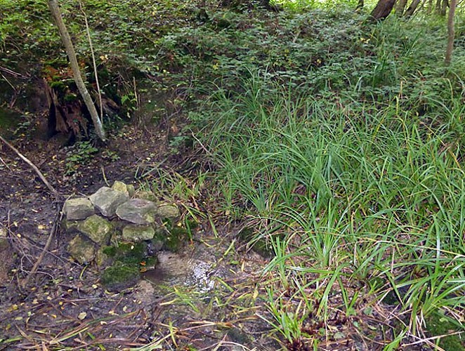 Sentier de la fontaine aux charmes