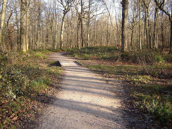 Sentier des Aulnes