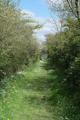 Sentier du Moulin l'Abbé