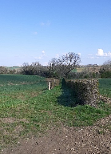 Sentier de la pierre de Baincthun