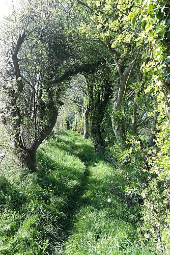 Sentier de la pierre de Baincthun