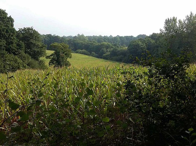 Boucle Craou Moc'h - Léguer | Campagne de Pluzunet