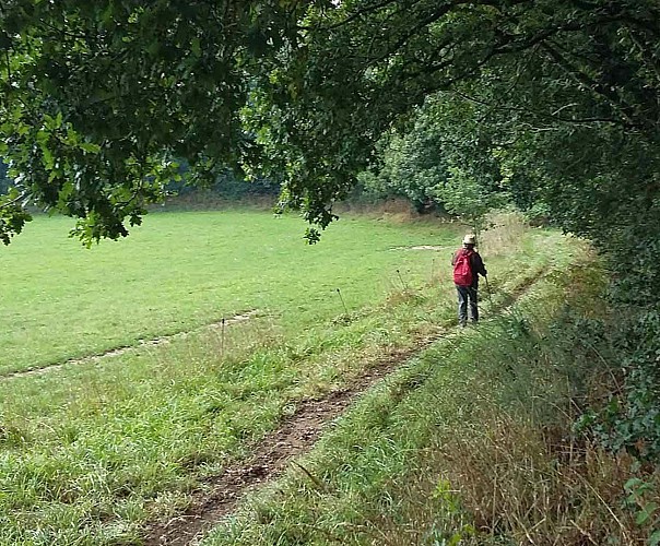Boucle Craou Moc'h - Léguer | Campagne de Pluzunet