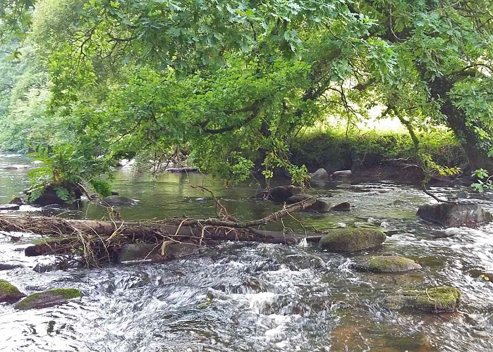 Boucle Craou Moc'h - Léguer | Campagne de Pluzunet