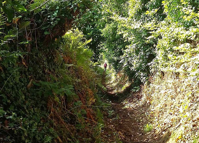 Boucle Craou Moc'h - Léguer | Campagne de Pluzunet