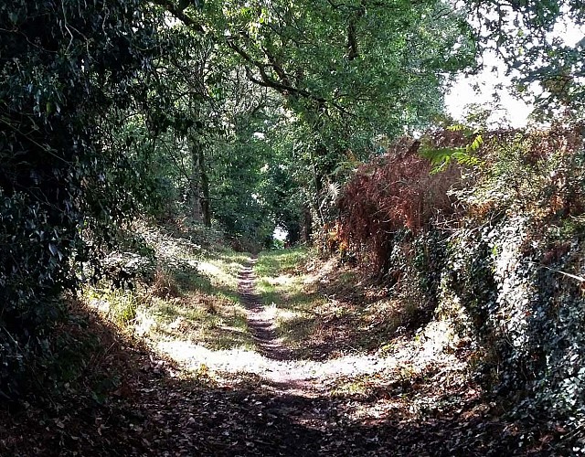 Boucle Craou Moc'h - Léguer | Campagne de Pluzunet