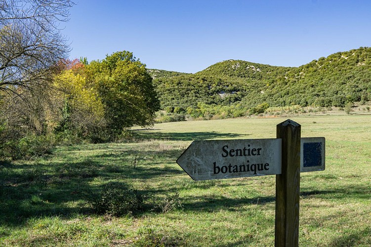 Sentier d'interprétation de Montoulieu_Montoulieu