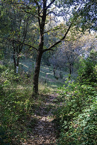 Sentier d'interprétation de Montoulieu_Montoulieu