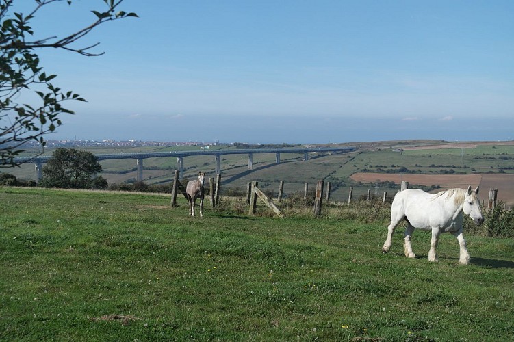 Sentier du Landacres