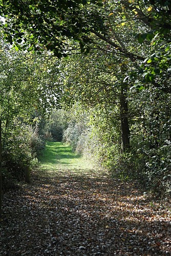 Sentier du Landacres