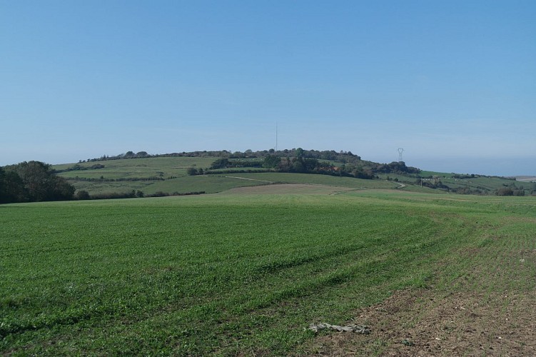 Sentier du Landacres