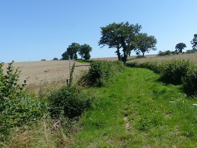 Circuit par Limoise et Pouzy Mésangy Parcours marche Franchesse