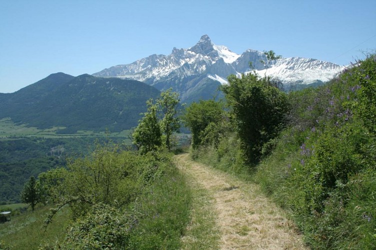 Le sentier des marmottes