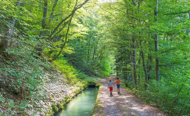 Sentier pédestre : Découverte du Canal du Beaumont - depuis La Salle en Beaumont_La Salle-en-Beaumont