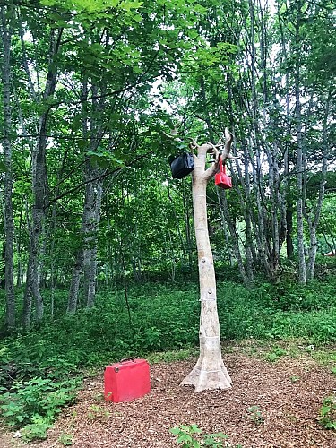 Itinéraire pédestre : l'Arboretum de Combe noire