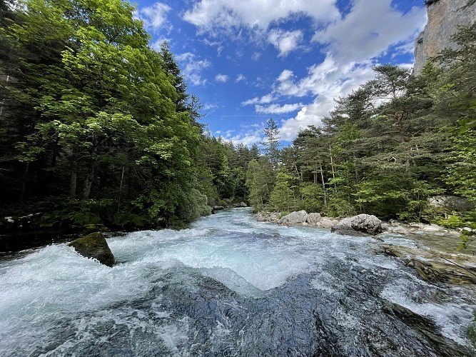 La source des Gillardes
