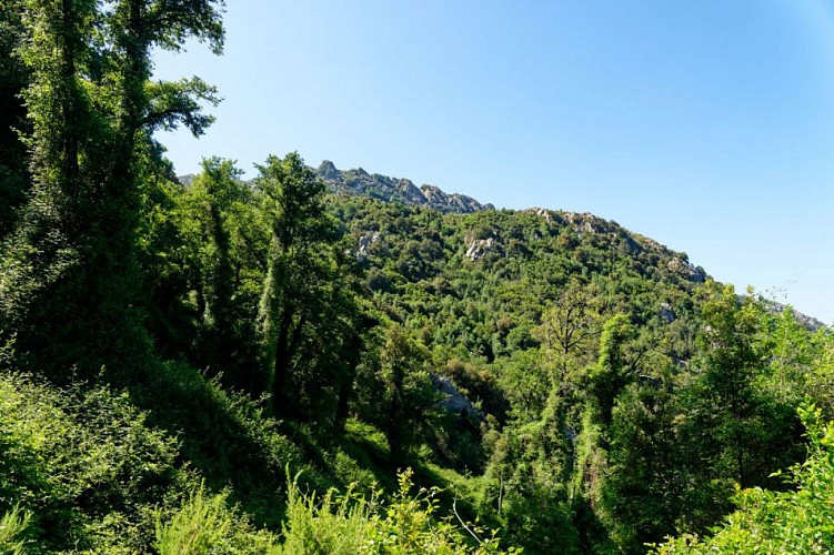 Corse-Région Ajaccio Gravona-Carbuccia - Pta Caccione