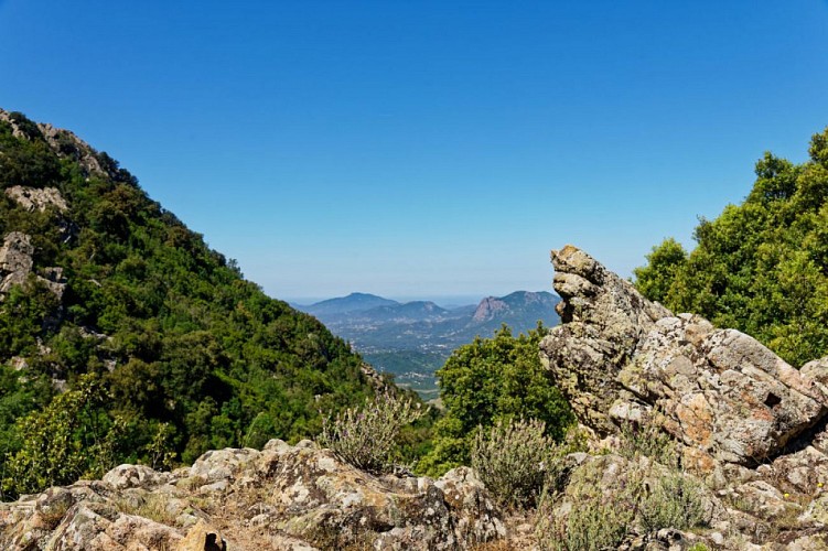 Vue sur la vallée de la Gravona