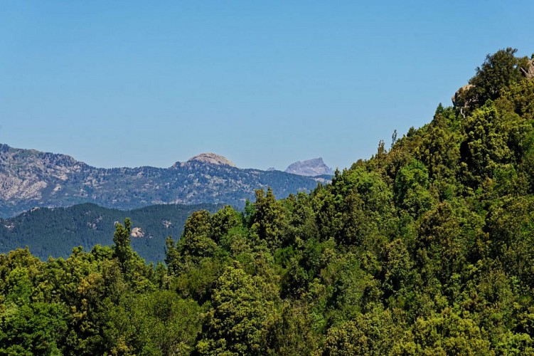 Au loin la Paglia Orba