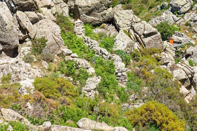 Lieu de traite en friche...