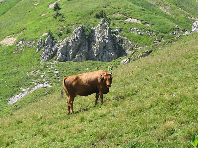 Walking itinerary : The Lairon chalets