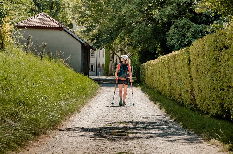 Ruta : sur les pas des Chartreux