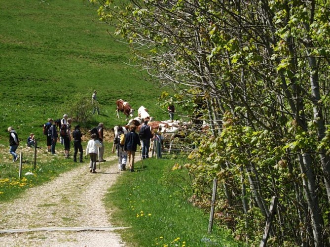 Sur les pas de chatreux