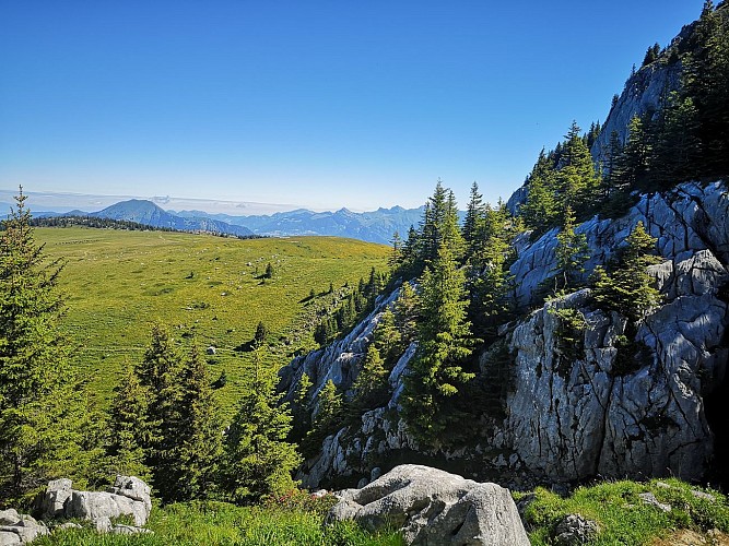 Lessy lake by Cenise