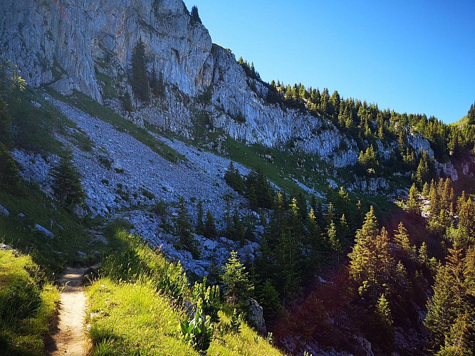 Lac de Lessy par Cenise