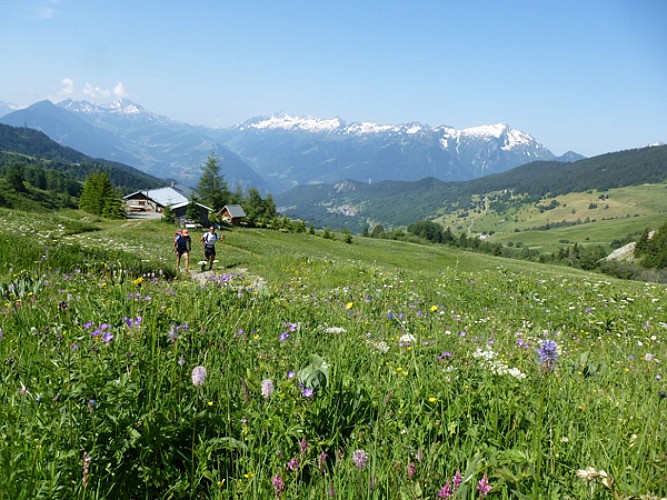 Grand Tour de Tarentaise - Rando pédestre 27 jours
