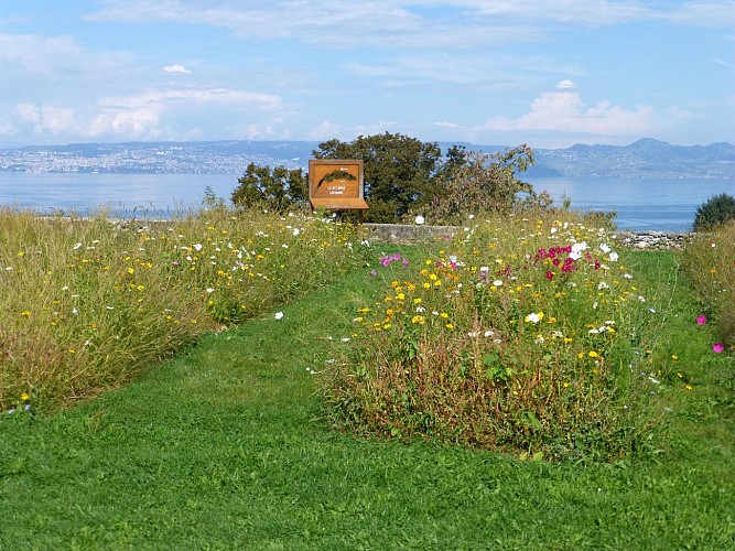 To discover the Neuvecelle park