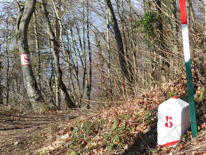 loop around "Carriers" hiking