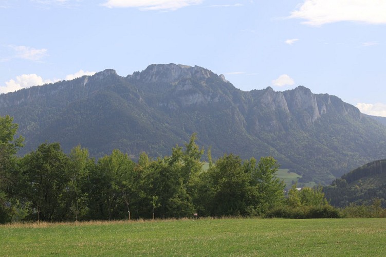 Loop of the lime tree and the cup stone