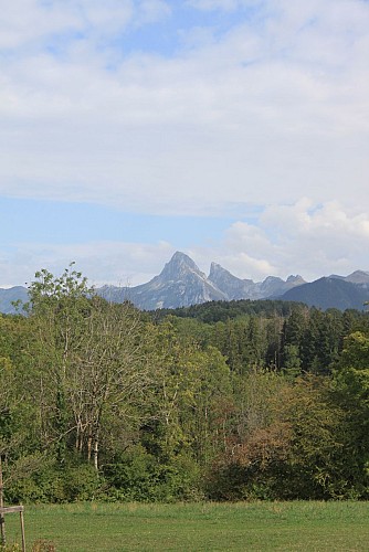 Lindeboom en bekerstenen lus