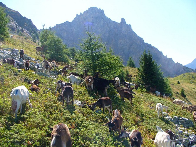 Station -la Maîtaz - le Rey