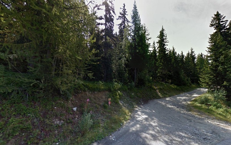 Plan-Peisey/Bergerie du Rey