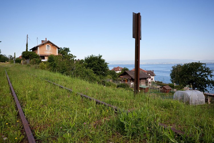 Randonnée Vergers et châtaigniers - Maxilly
