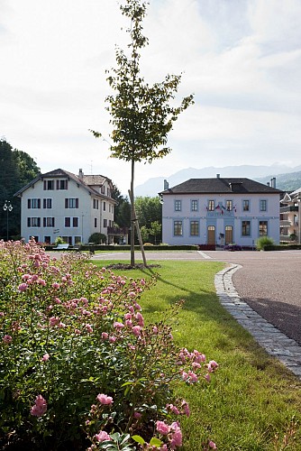 Wandelen: Boomgaarden en kastanjebomen