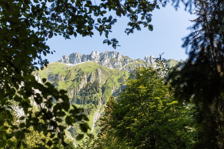 GR®5 Alpes (1): Saint-Gingolph - Bise (La Chapelle d'Abondance)