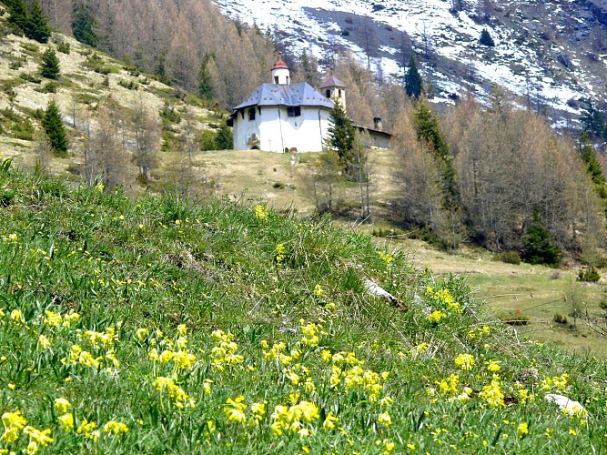 La Chenarie – Les Vernettes – forêt de Carroz blanc