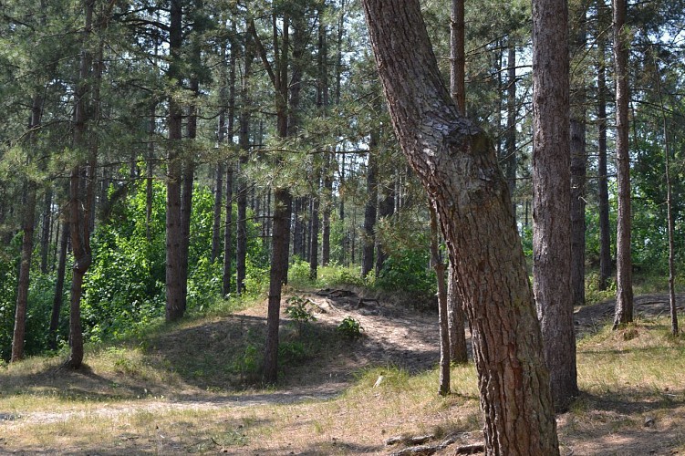 Sentier de la Converserie