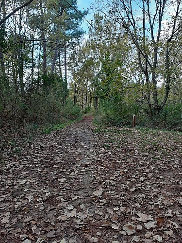Sentier du Château