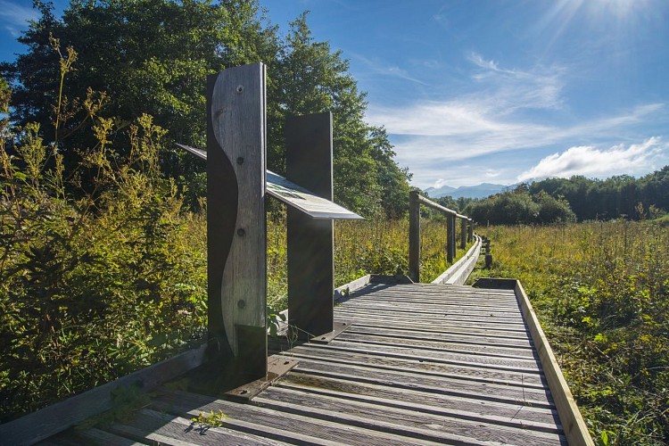 Maravant marsh discovery trail